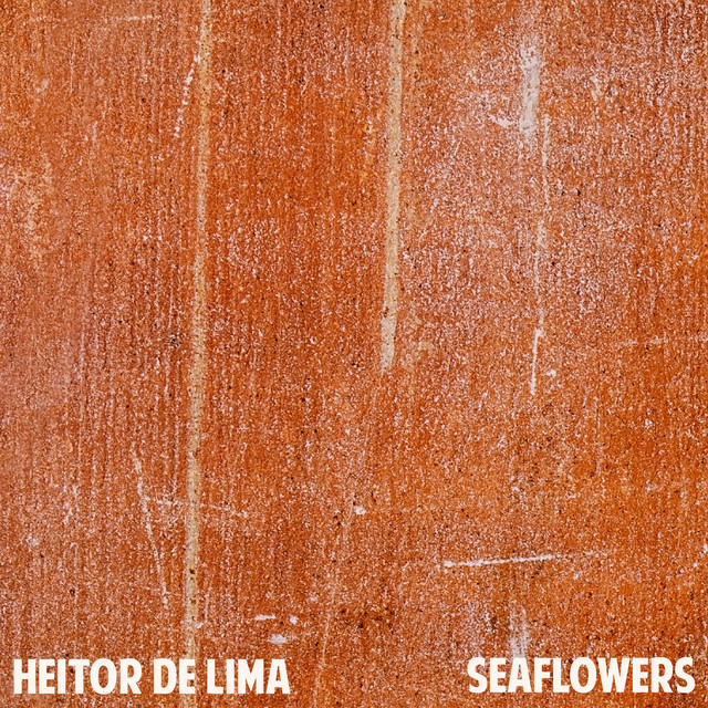 Heitor de Lima