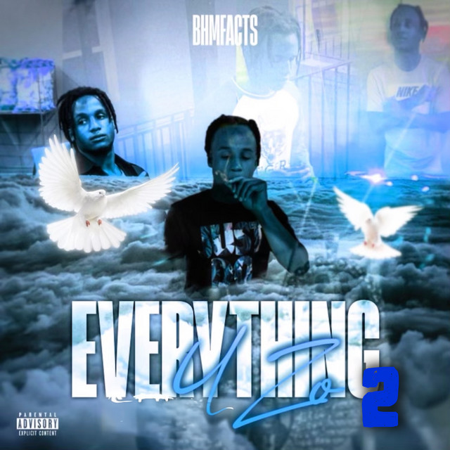 Everything 4 Zo 2 cover art