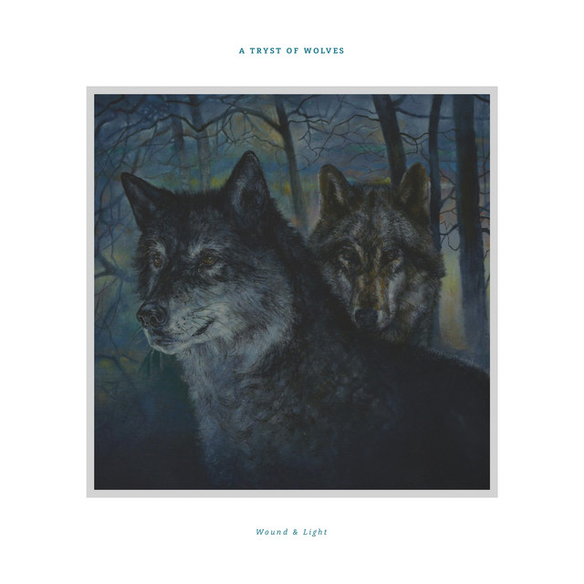 Wound & Light cover art