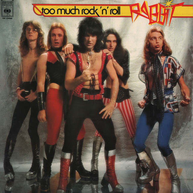 Too Much Rock 'n' Roll cover art