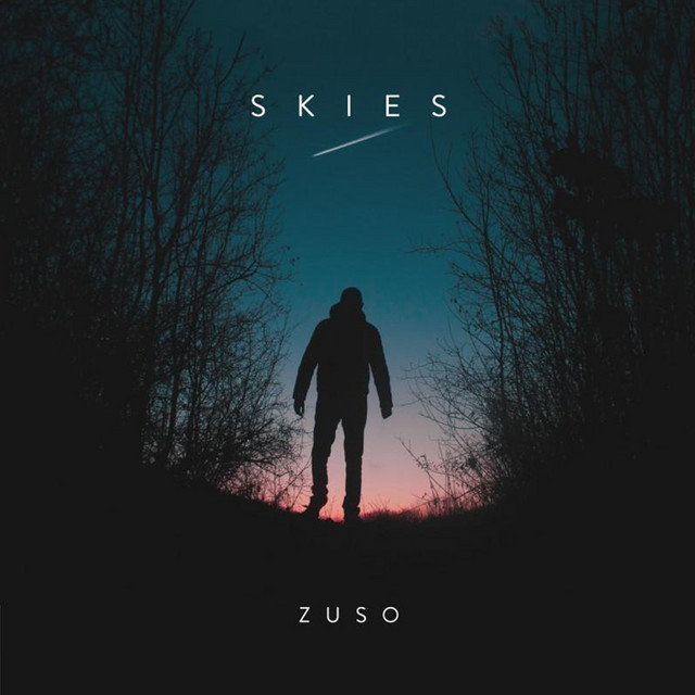 Skies cover art