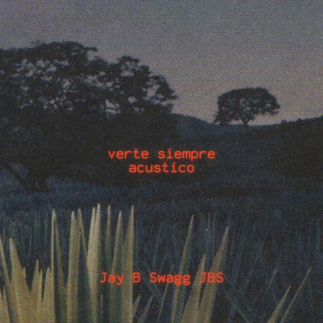 verte siempre - Acustico