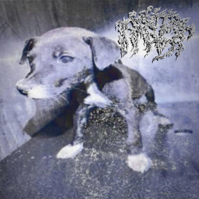 PLUSH cover art