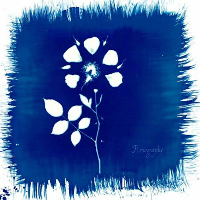 Floriography cover art
