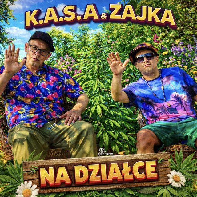 Na Działce (Mambo) album image