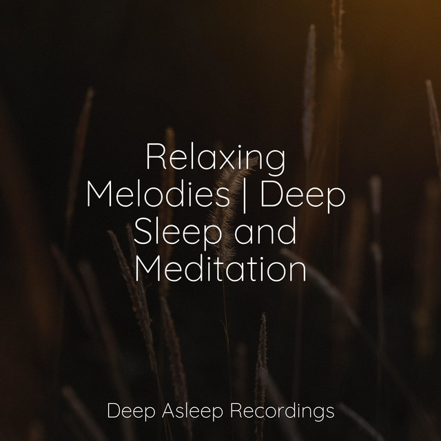 Relaxing Melodies | Deep Sleep and Meditation - Album by Ocean Sounds ...