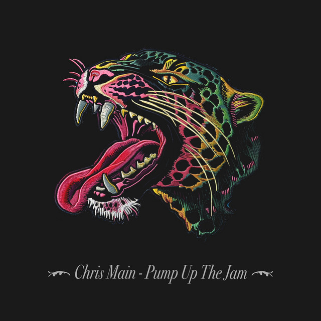 Pump up the Jam - Extended Mix album art