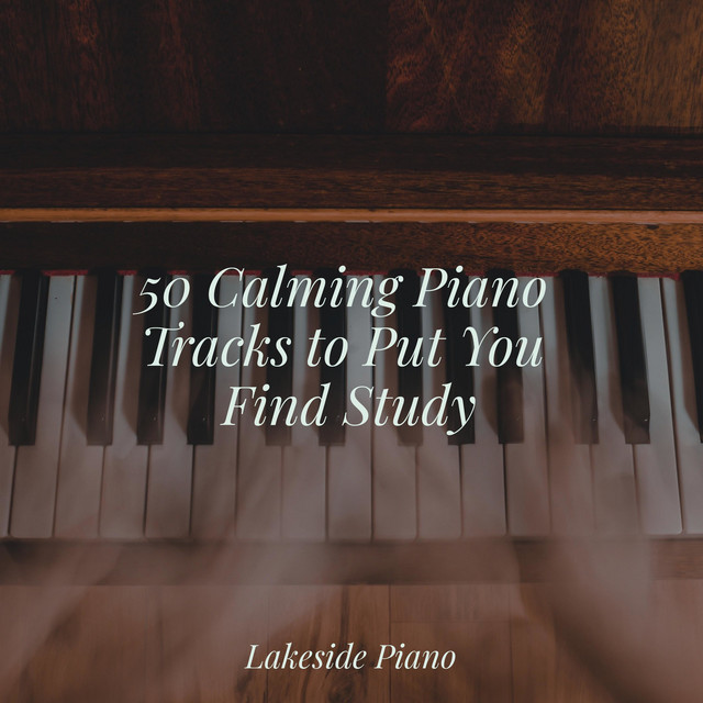 50 Calming Piano Tracks to Put You Find Study - Album by SD | Spotify