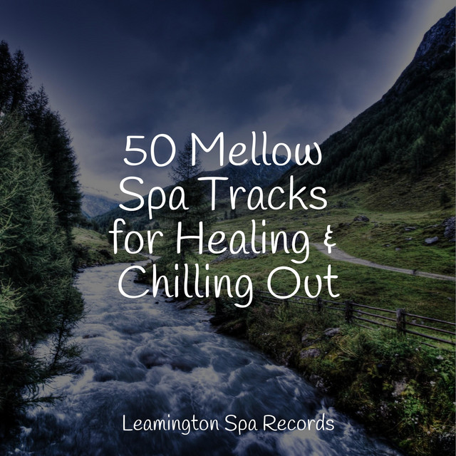 50 Mellow Spa Tracks for Healing & Chilling Out - Album by Massage ...