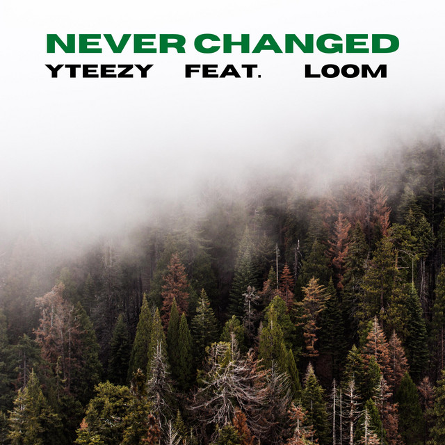 yTeezy