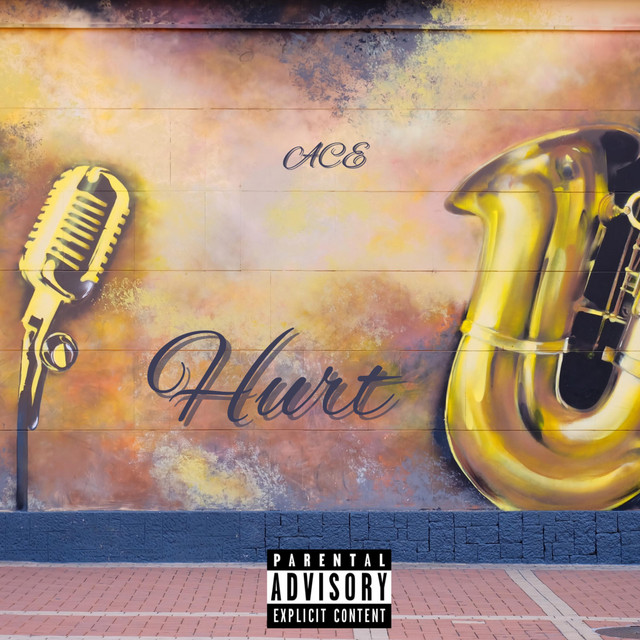 Hurt cover art
