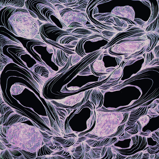Variaciones cover art
