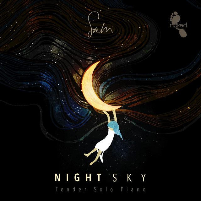 Night Sky - Tender Solo Piano cover art
