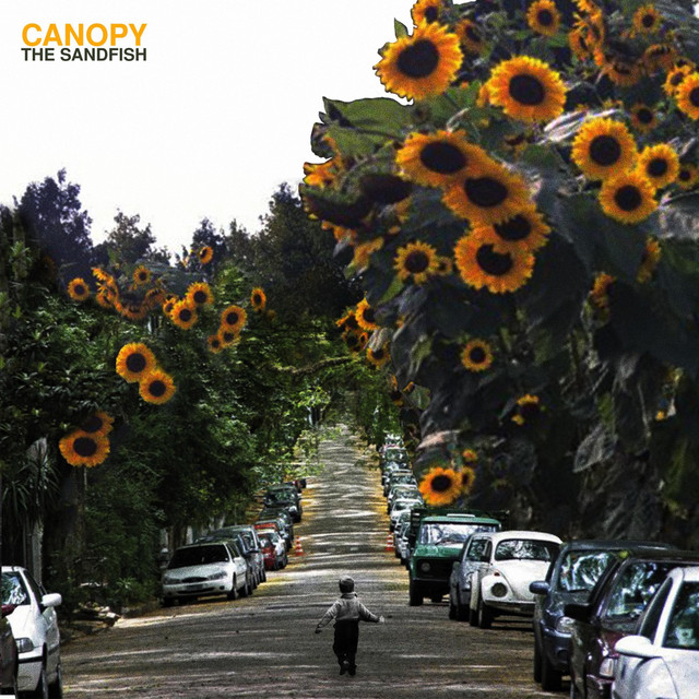 Canopy cover art