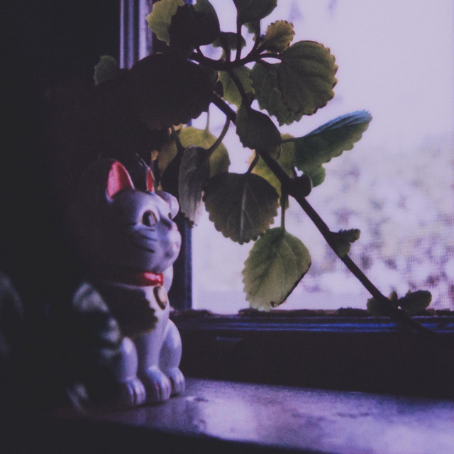 Lost cover art