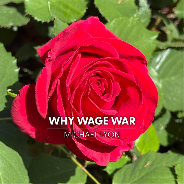 Why Wage War