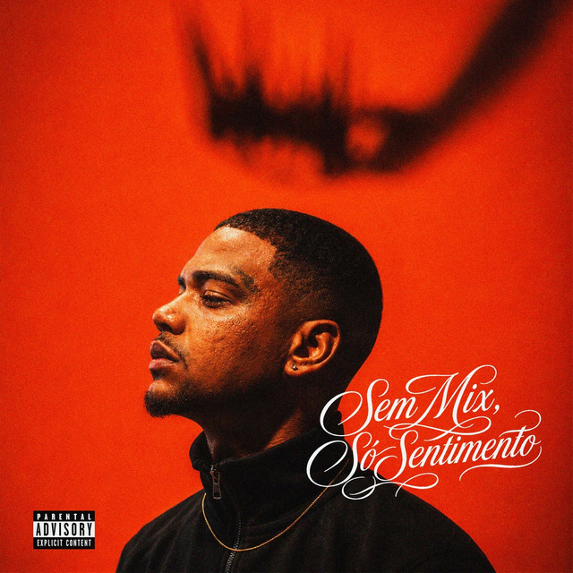 SEM MIX, SÓ SENTIMENTO cover art