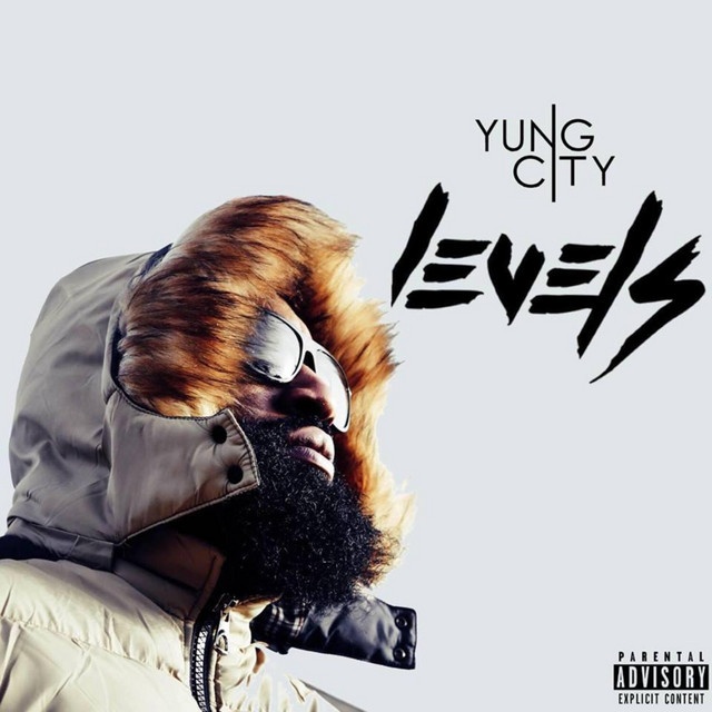Levels cover art