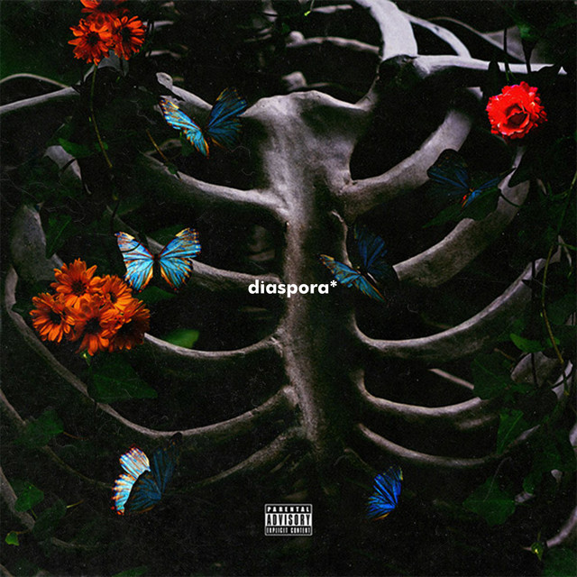 diaspora. cover art