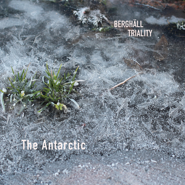 Triality Photo