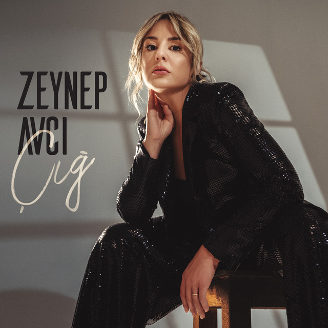Çığ cover