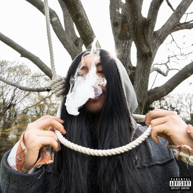Long Live B.O.A cover art