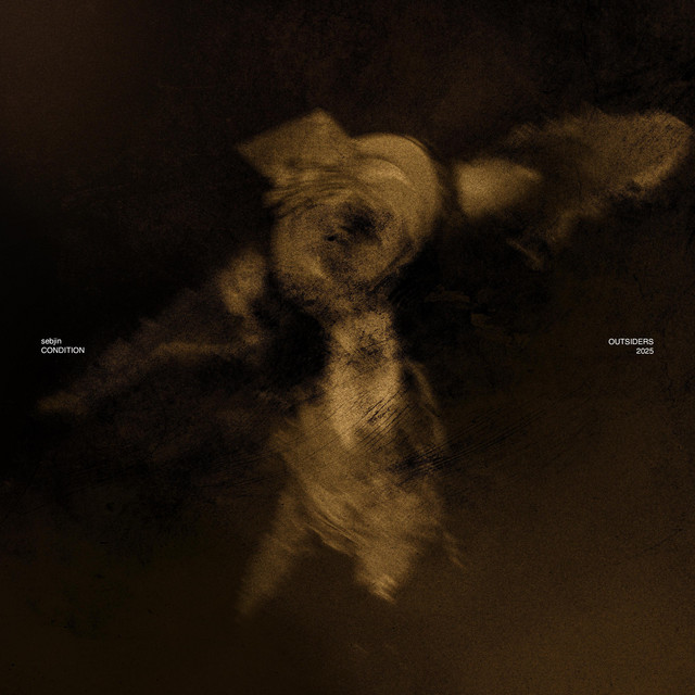 CONDITION cover art