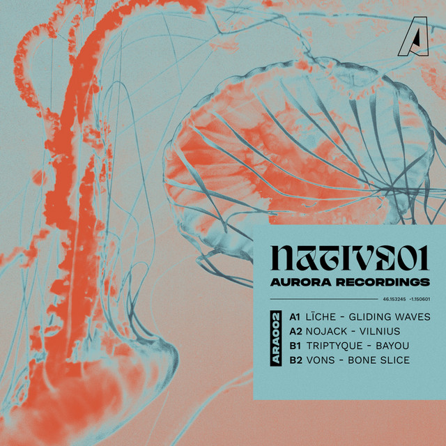 Bayou cover art