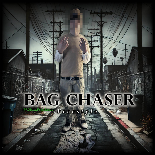Bag Chaser Freestyle cover art
