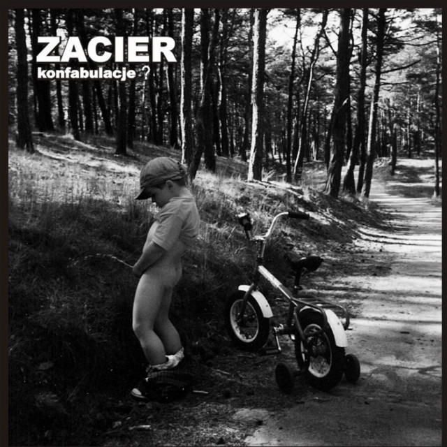 Konfabulacje? cover art