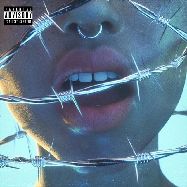 Barbed Wire cover art