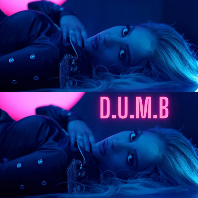 D.U.M.B. cover art