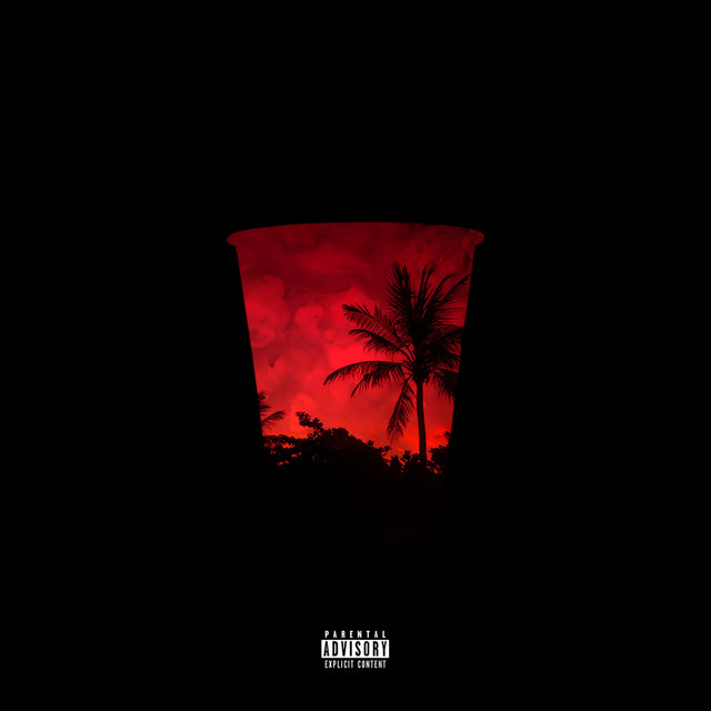 Red Solo Cup Music cover art