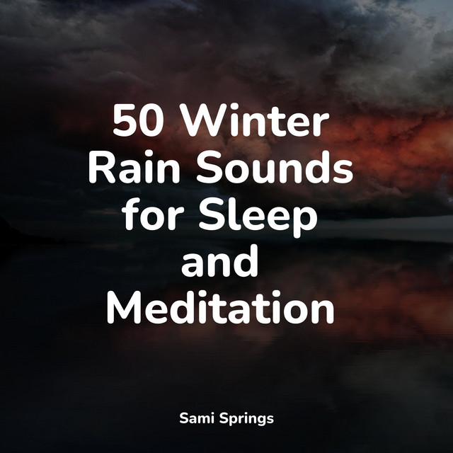 50 Winter Rain Sounds for Sleep and Meditation - Album by Natureza ...