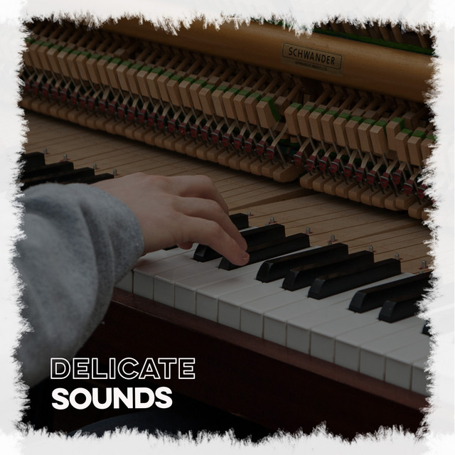 2020 Delicate Sounds - Compilation by Various Artists | Spotify