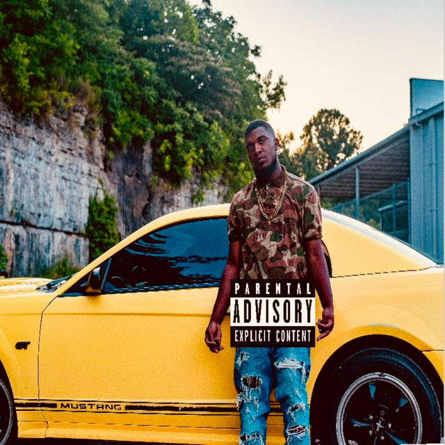 Stang Pain (Deluxe Edition) cover art