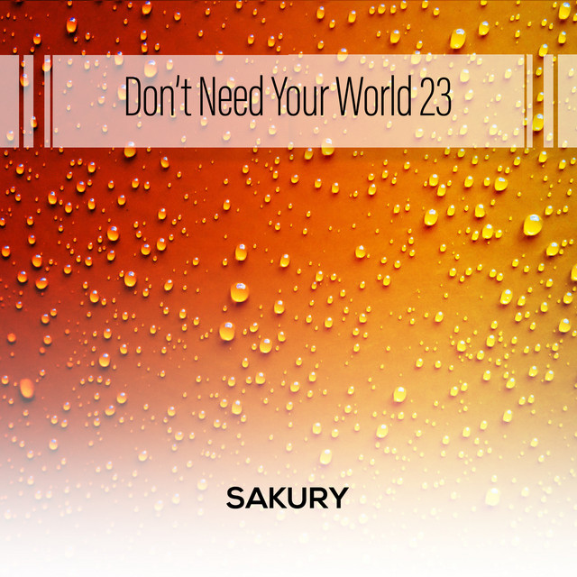 Don't Need Your World 23 cover art