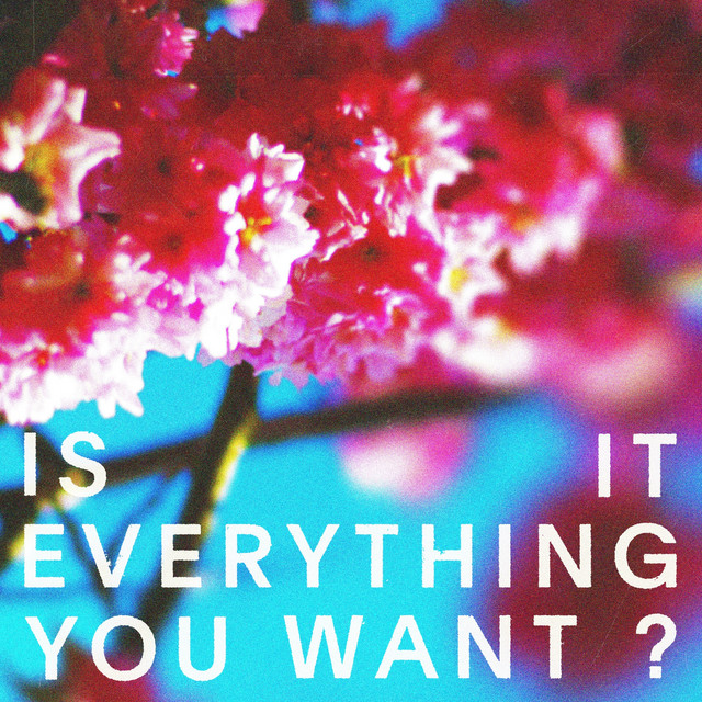 Is It Everything You Want? cover