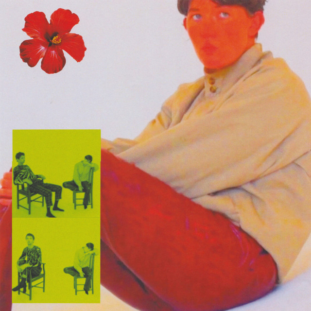 Remember cover art