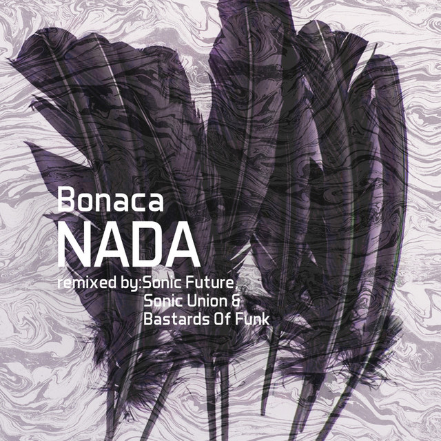 Nada - Sonic Future Remix album art