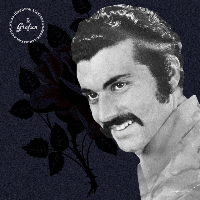 Gitti Dönmeyecek / Genç Kızlar cover