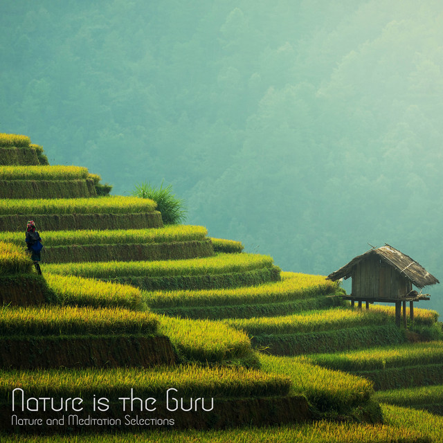Nature is the Guru cover art