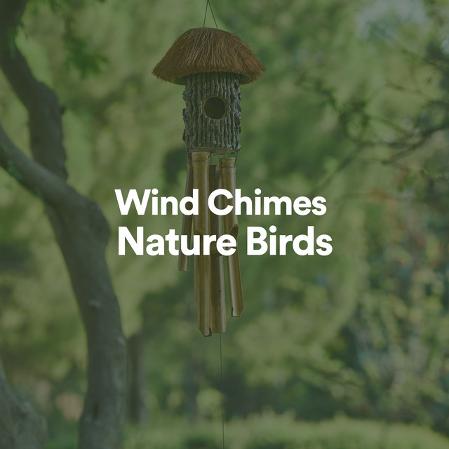 Wind Chimes Nature Birds - Album by Nature Sounds Nature Music | Spotify