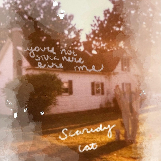 You're Not Stuck Here Like Me cover art