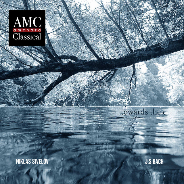 Towards the C cover art
