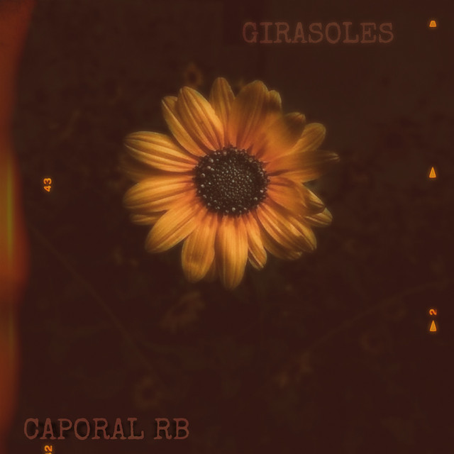 Girasoles