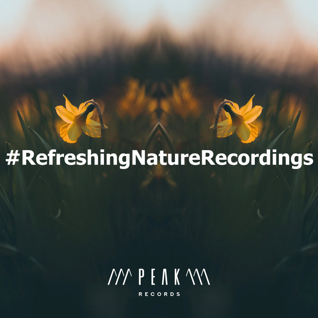 Nature Hot Springs - song and lyrics by Deep Sleep Nature Sounds | Spotify