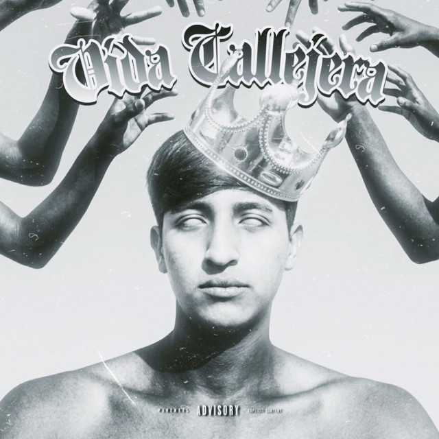 Vida Callejera cover art