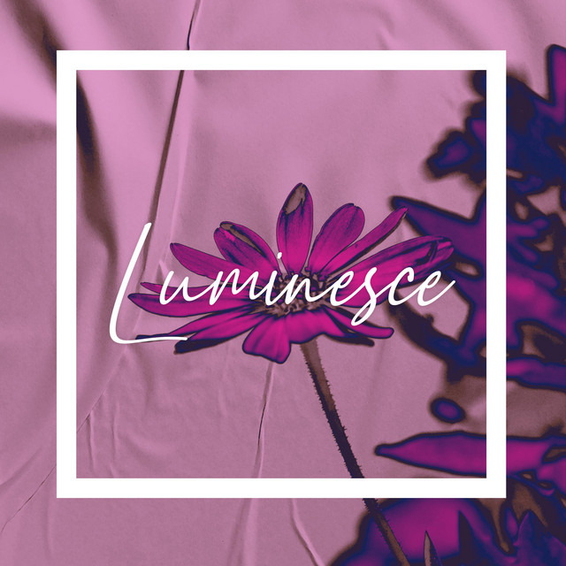 Luminesce