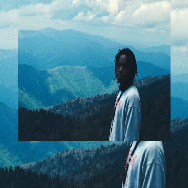 Problems cover art